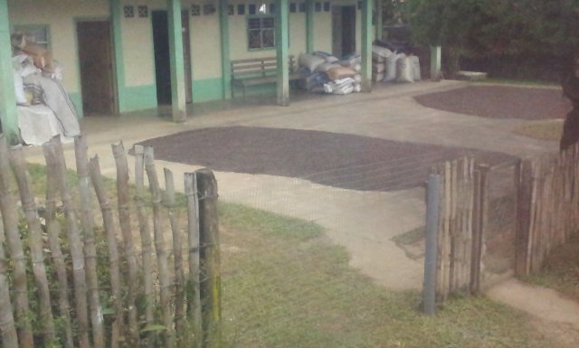 Producción